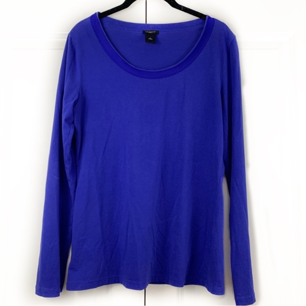 Ann Taylor cobalt blue long sleeve scoop neck top
